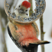 Abenteuer Wildnis