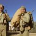 Windtalkers