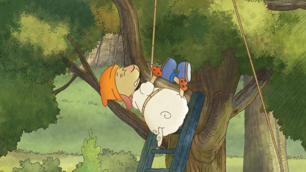 Bild 1 von 4: Wolle ist überaus ängstlich.