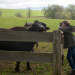 Tiere bis unters Dach
