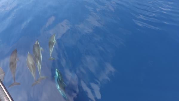 Bild 1 von 14: .