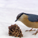 Winterwelten