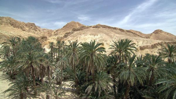 Bild 1 von 9: Im Bild: Mit seinen 10 Millionen Einwohnern ist Tunesien der kleinste Staat Nordafrikas. Dennoch gilt es als das fortschrittlichste und weltoffenste Land des Maghreb.