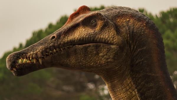 Bild 1 von 15: Die Forschenden gaben dem Spinosaurus den Namen Sobek nach dem ägyptischen Krokodilgott.