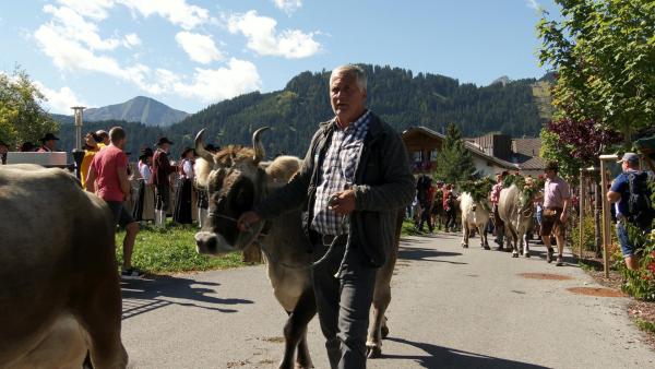 Bild 1 von 27: Im Bild: Almabtrieb Fiss.