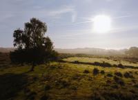 Wildes Großbritannien