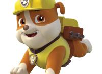 PAW Patrol - Helfer auf vier Pfoten