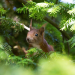 Abenteuer Wildnis