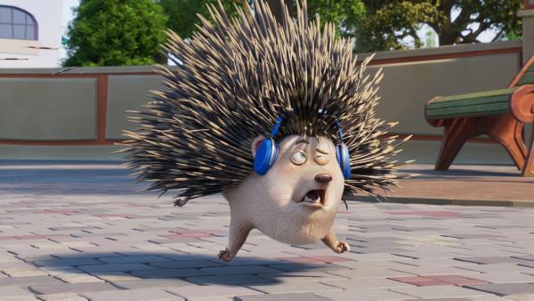 Bild 1 von 1: Igel Elvis wird von einem Niesanfall geschüttelt, der seine Stacheln durch die Gegend fliegen lässt.