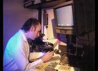 Medical Detectives - Geheimnisse der Gerichtsmedizin