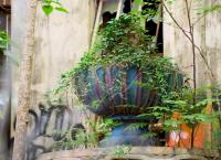 Epic Exploring: Going Local