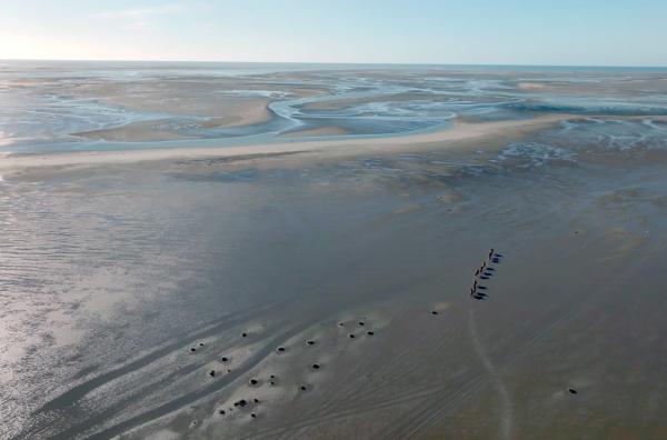 Bild 1 von 5: Endlose Weite: Ausritt in der Somme-Bucht