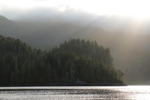 Bild 1 von 29: Die Küste British Columbias im Morgennebel.