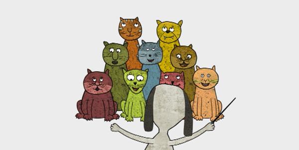 Bild 1 von 3: Ein Katzenchor singt ein Geburtstagslied.