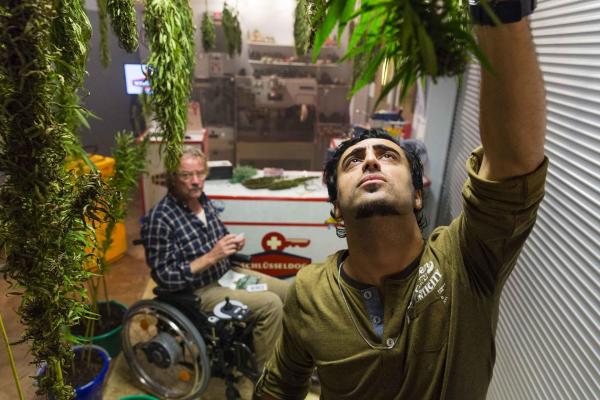 Bild 1 von 7: Auf ihre eigene Weise stehen Orkan (Orhan Müstak, r.) und Kurt (Axel Siefer, l.) Danni bei einem neuen Fall zur Seite ...