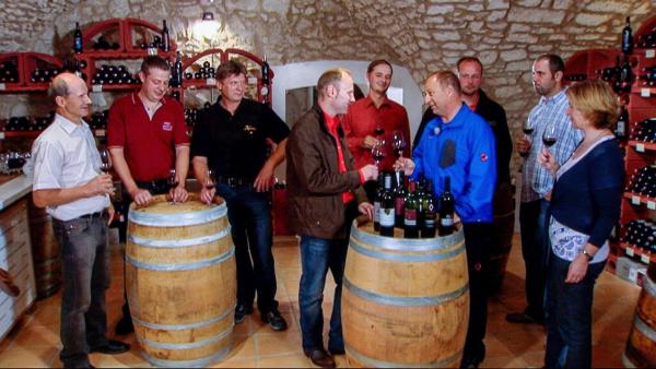 Bild 1 von 5: Im Bild: Harry Prünster bei der Weinverkostung mit diversen Winzern in der Vinothek Neckenmarkt.