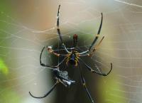 Hotspots der Tierwelt