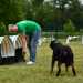 Mein Hund, die Kilos und ich