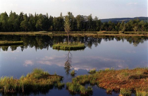 Bild 1 von 4: Im Bild: Einzigartige Moorlandschaft, Chalupa Slat (Tschechien).