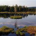 Böhmerwald - Wildnis im Herzen Europas