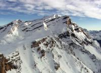 Tierwelt der Alpen