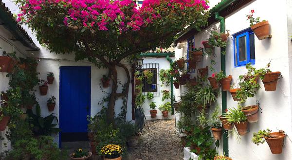 Bild 1 von 5: Hof in Cordoba.