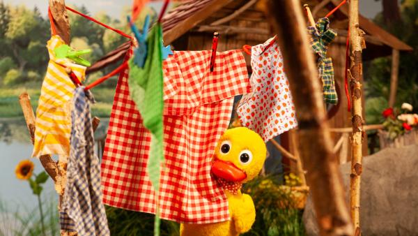 Bild 1 von 6: Schnatterinchen will Pitti erschrecken.