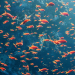 Das Rote Meer - Im Zaubergarten der Evolution