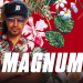 Magnum P.I.