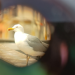 planet e
