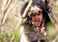 Angriff der Wikinger