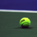 Grand Slam 2022 - US Open in New York