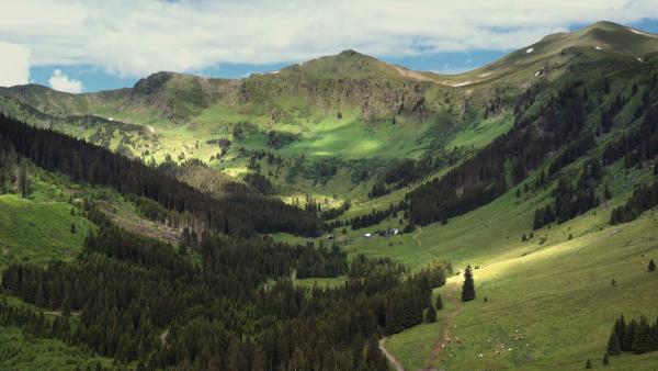 Bild 1 von 1: .