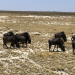 Unentdecktes Nordnamibia