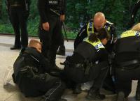 Kultrevier Davidwache: Polizei auf der Reeperbahn