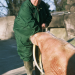 Der Pfundskerl: Mord im Zoo