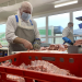 Fleischindustrie im Check