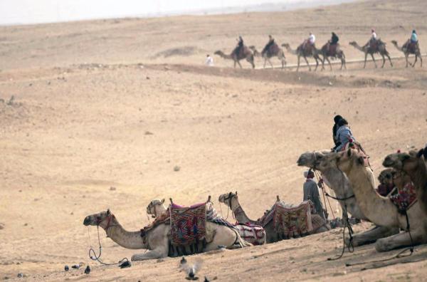 Bild 1 von 2: Kairo ist seit mehr als tausend Jahren die pulsierende Hauptstadt Ägyptens. Hier entstand die Legende eines afrikanischen Königs, der Berichten zufolge der reichste Mann der Welt war.