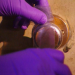 Medical Detectives - Geheimnisse der Gerichtsmedizin