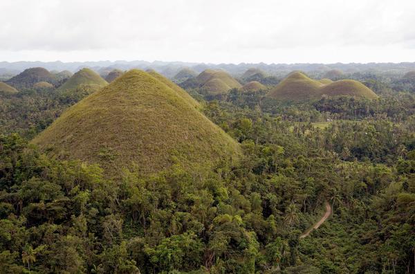 Bild 1 von 3: Im Zentrum von Bohol liegen über tausend kegelförmige Hügel. Die Einheimischen nennen diese Berge liebevoll Chocolate Hills wegen der bräunlichen Farbe der grasbedeckten Kuppen.
