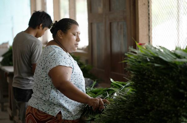 Bild 1 von 4: Ein Dorf im Wald in Guatemala: Die Verbundenheit zwischen der Natur und ihren Bewohnern wird durch nachhaltige Lebens- und Arbeitsweisen wiederhergestellt.