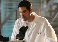 CSI: Miami
