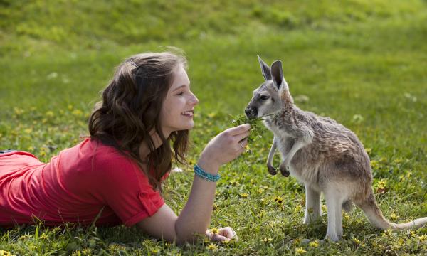 Bild 1 von 3: Tara (Xenia Goodwin) verabschiedet sich von einem kleinen Freund in ihrer Heimat, dem australischen Outback.