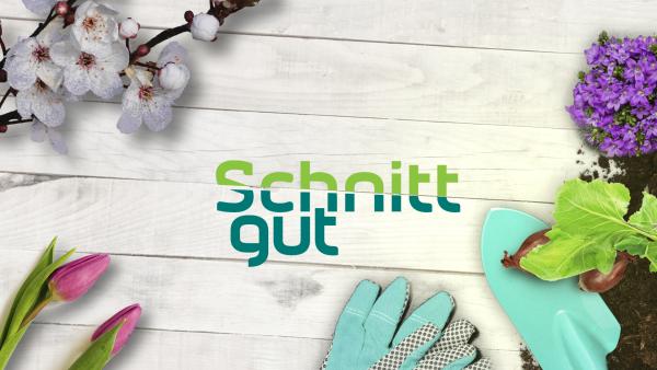 Bild 1 von 1: Key Visual/Cover Sendereihenbild mit Typo zu \