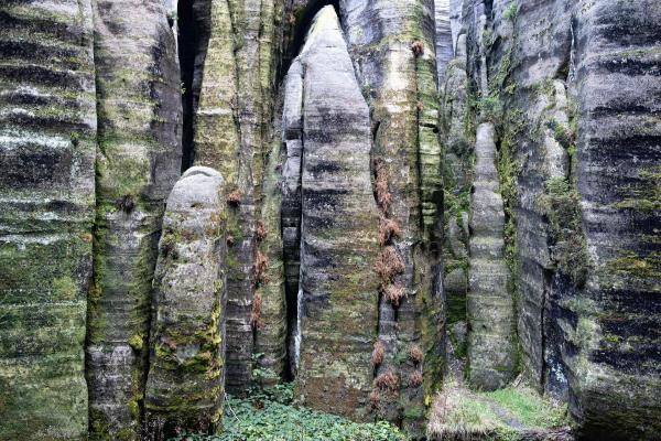 Bild 1 von 38: Im Bild: Dicht stehende Felstürme, Schluchten, enge Durchgänge, Felswände. Die Kräfte der Natur haben die verschiedensten Formen in den Sandstein modelliert, denen die menschliche Phantasie romantische Namen wie z. B. Liebespaar, Krug, Bürgermeister mit Frau, Zuckerhut gegeben hat.