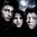 Bild 22