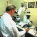 Medical Detectives - Geheimnisse der Gerichtsmedizin