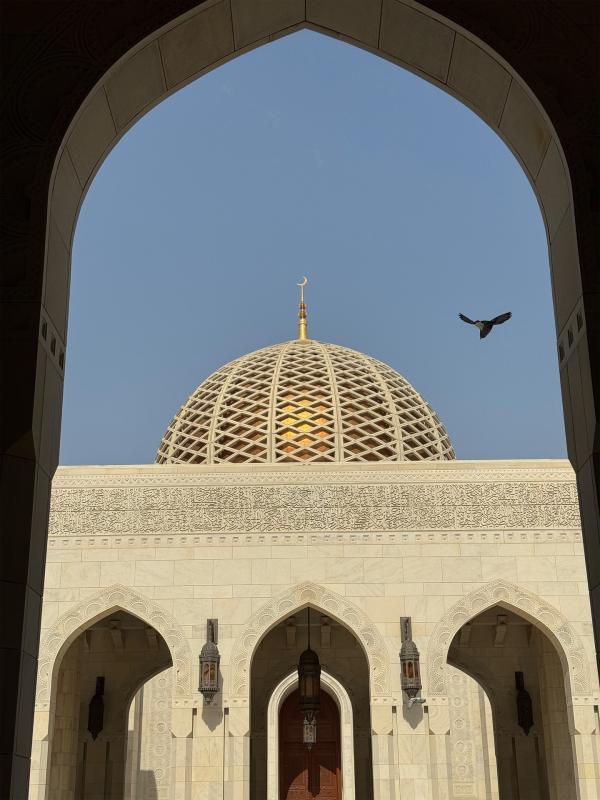 Bild 1 von 7: Die Sultan-Qaboos-Moschee vereint auf prachtvolle Weise islamische und omanische Architektur.