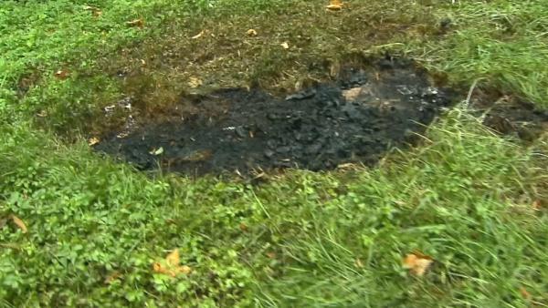 Bild 1 von 9: Am Feringasee wird eine verbrannte Leiche entdeckt. Wer ist die Tote?