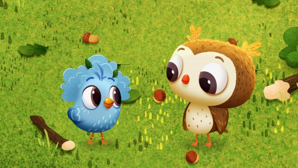 Bild 1 von 1: Im Forest Camp ist nach einem heftigen Sturm die große, alte Eiche umgestürzt.